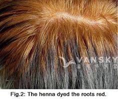 250520162451_Hair-Dying with henna-s.jpg